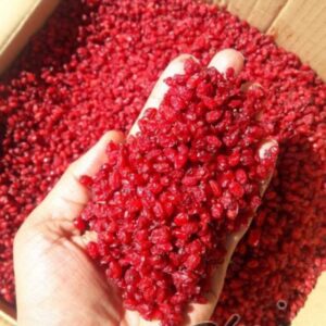 Premium Iranian Pofaki Barberries
